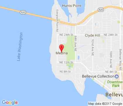 logo-image - medina-wa